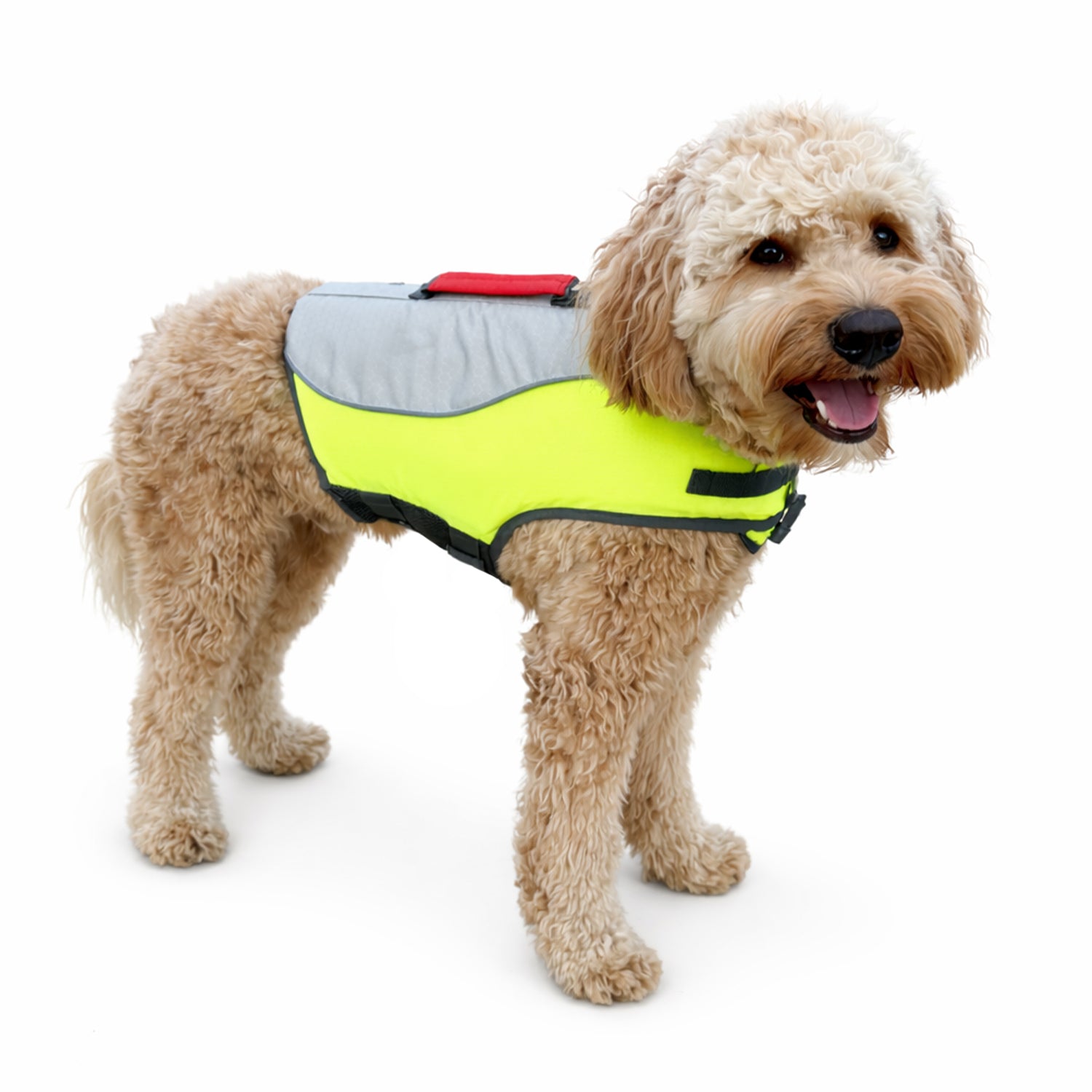 aqua kong dog toys Aqua Float Floatation Vest