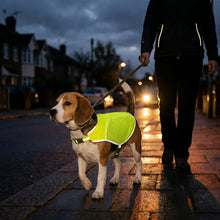 Load image into Gallery viewer, Dog wearing a bright yellow reflective jacket being walked on a wet street at night.