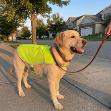 Load image into Gallery viewer, Hiker Safety Vest