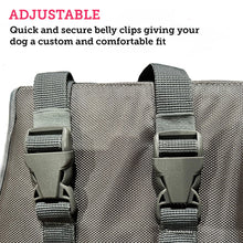 Load image into Gallery viewer, Picture of adjustable buckle clips on a dog flotation vest
