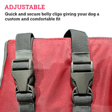 Load image into Gallery viewer, Close up of adjustable clips on a dog float vest