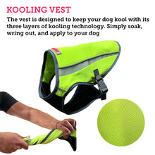 Load image into Gallery viewer, Picture of a dog cooling safety vest and a description on how to use it