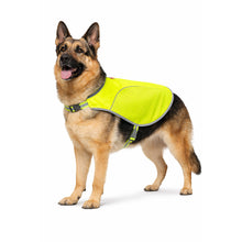 Load image into Gallery viewer, Dog wearing a bright green safety vest