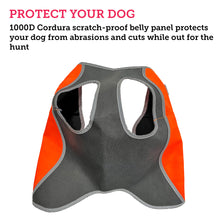 Load image into Gallery viewer, Picture of the bottom of a dog hunting safety vest with a description highlighting its protective belly panel