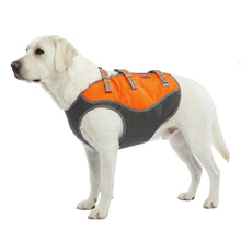 Load image into Gallery viewer, Dog wearing an orange and gray hunting harness on a white background