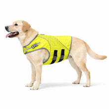 Load image into Gallery viewer, Dog wearing a green safety vest