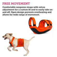 Load image into Gallery viewer, Picture of a hunting safety vest for dogs. There is a dog wearing it in the corner with a description highlighting range of motion