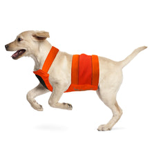 Load image into Gallery viewer, Side view of a dog wearing an orange hunting vest