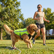Load image into Gallery viewer, Woman and dog playing in a park with a water hose, surrounded by trees and a bench.