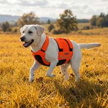 Load image into Gallery viewer, Dog running through a field wearing an orange vest
