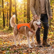 Load image into Gallery viewer, Ultra Lite Safety Vest