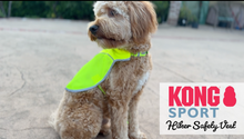 Load and play video in Gallery viewer, Product overview of a green safety vest for dogs
