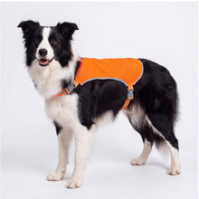Load image into Gallery viewer, Ultra Lite Safety Vest