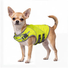 Load image into Gallery viewer, Mountain Safety Vest