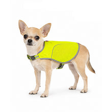 Load image into Gallery viewer, Hiker Safety Vest