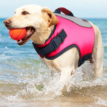 Load image into Gallery viewer, Dog walking through the ocean with a ball in its mouth wearing a pink life preserver vest

