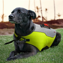 Load image into Gallery viewer, Dog lying down on the grass wearing a green life preserver vest
