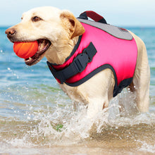 Load image into Gallery viewer, Dog walking through the ocean with a ball in its mouth wearing a pink life preserver vest