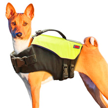 Load image into Gallery viewer, Dog wearing a green life preserver vest
