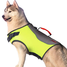 Load image into Gallery viewer, Husky wearing a green life preserver vest
