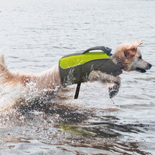 Load image into Gallery viewer, Dog wearing a life preserver vest running through the water
