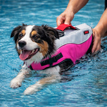 Load image into Gallery viewer, Dog wearing a pink and gray life jacket in a pool
