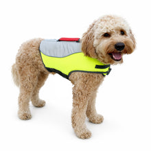 Load image into Gallery viewer, Dog wearing a reflective safety vest on a white background
