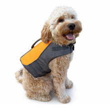 Load image into Gallery viewer, Dog wearing a gray and orange life jacket on a white background
