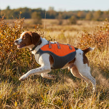 Load image into Gallery viewer, Dog running in a field wearing an orange and gray vest.
