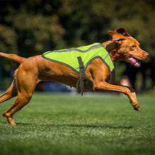 Load image into Gallery viewer, Dog running with a green cooling vest
