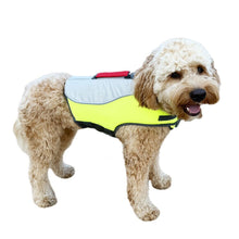 Load image into Gallery viewer, Dog wearing a green life preserver float vest
