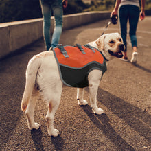 Load image into Gallery viewer, Dog outside wearing an orange hunting vest
