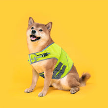 Load image into Gallery viewer, Dog wearing a green safety vest
