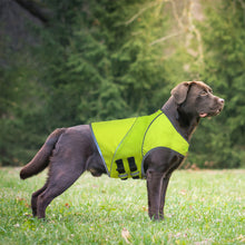 Load image into Gallery viewer, Dog outside wearing a safety vest
