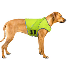 Load image into Gallery viewer, Dog wearing a green safety vest
