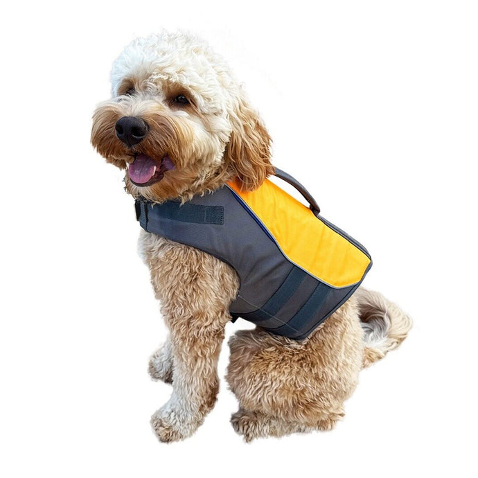 Dog wearing an orange life preserver float vest