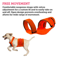 Load image into Gallery viewer, Picture of a hunting safety vest for dogs. There is a dog wearing it in the corner with a description highlighting range of motion
