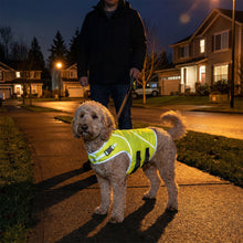 Load image into Gallery viewer, Dog wearing a reflective vest being walked on a suburban street at night.
