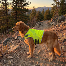 Load image into Gallery viewer, Mountain Safety Vest
