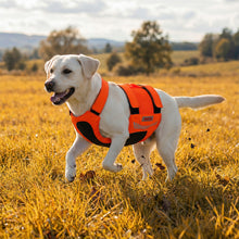 Load image into Gallery viewer, Dog running through a field wearing an orange vest
