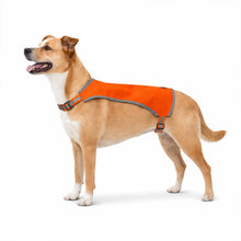 Load image into Gallery viewer, Dog wearing an orange safety harness on a white background
