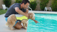 Load and play video in Gallery viewer, Video of a dog wearing a flotation vest swimming in a pool
