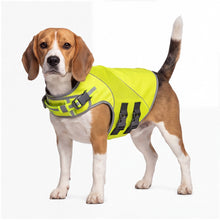 Load image into Gallery viewer, Mountain Safety Vest
