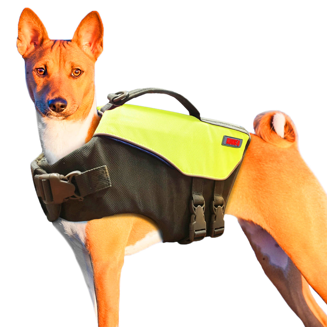 Dog wearing a green life preserver vest