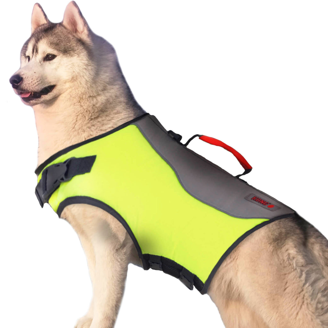 Husky wearing a green life preserver vest